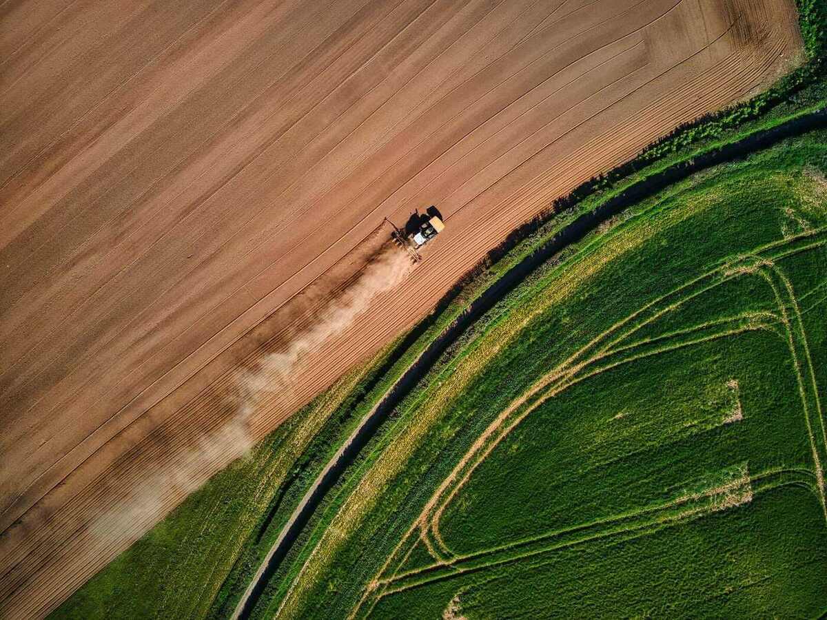 Vista aérea de campo verde no fim da tarde